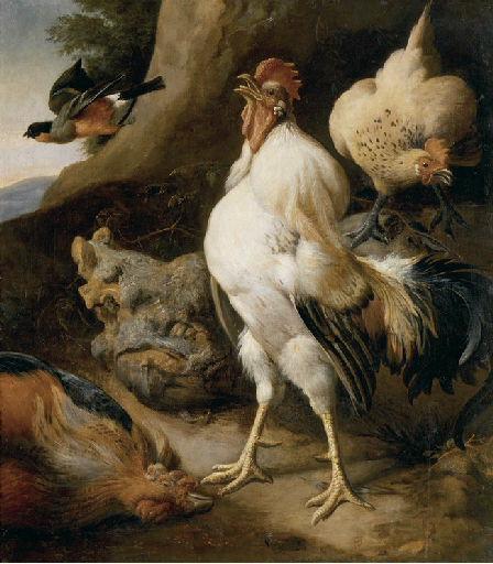 Coq triomphant_0