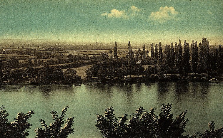 Trévoux (Ain) : Bords de la Saône_0