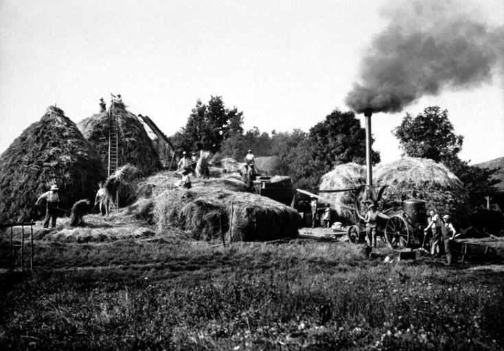 Moisson dans la Dombes_0