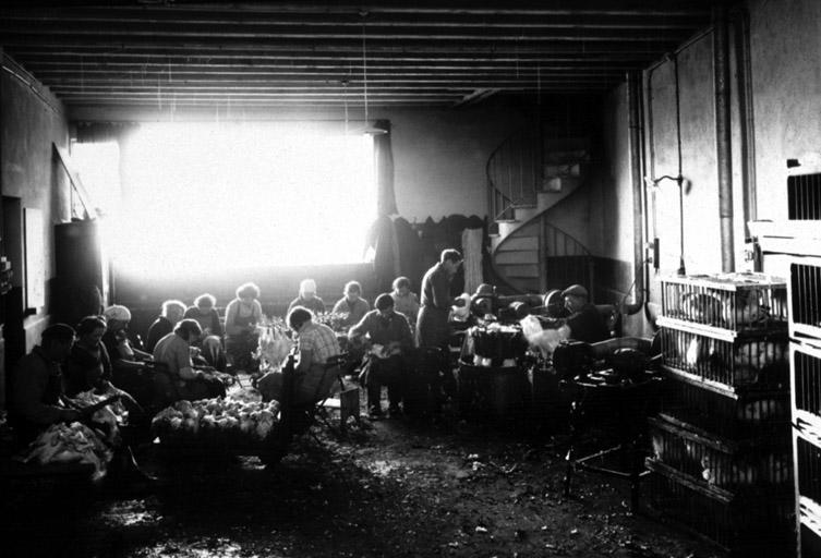 Coopérative avicole de Bourg. Atelier de plumage_0