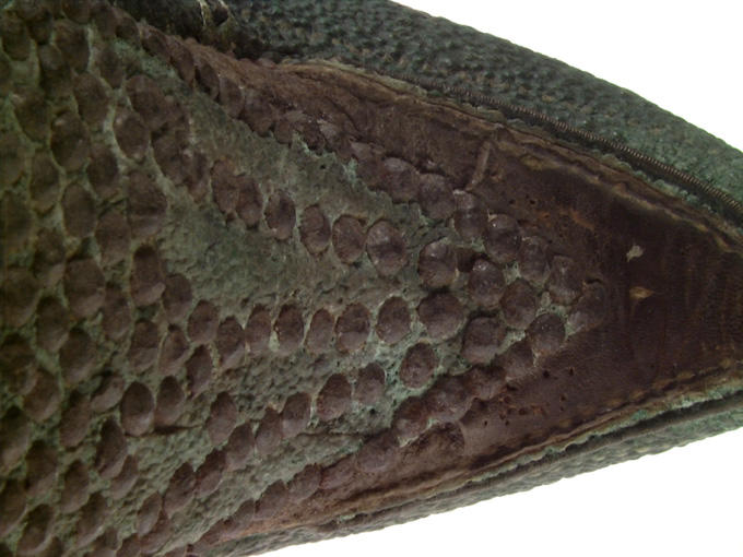 Botte (2)_1