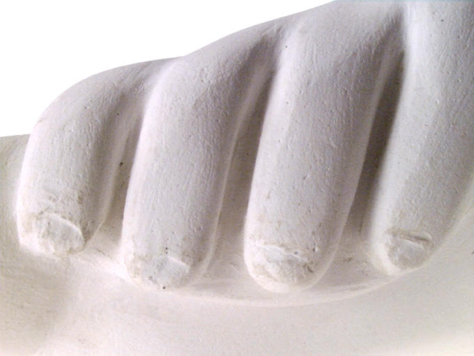Pied_1
