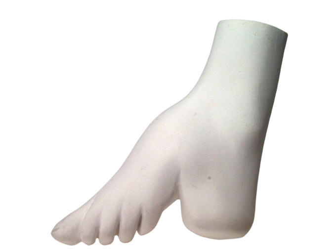 Pied_0