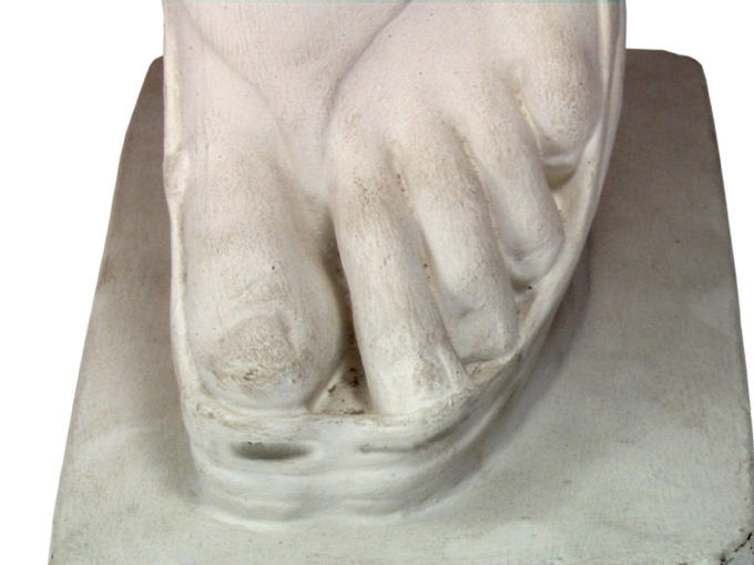 Pied_1