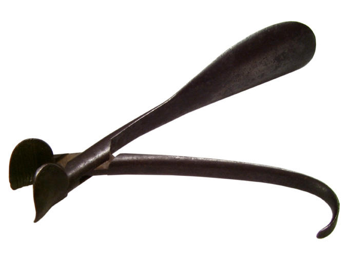 Pince, chausse-pied_0