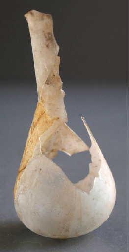 Balsamaire (à panse, piriforme, Isings 28a)_2