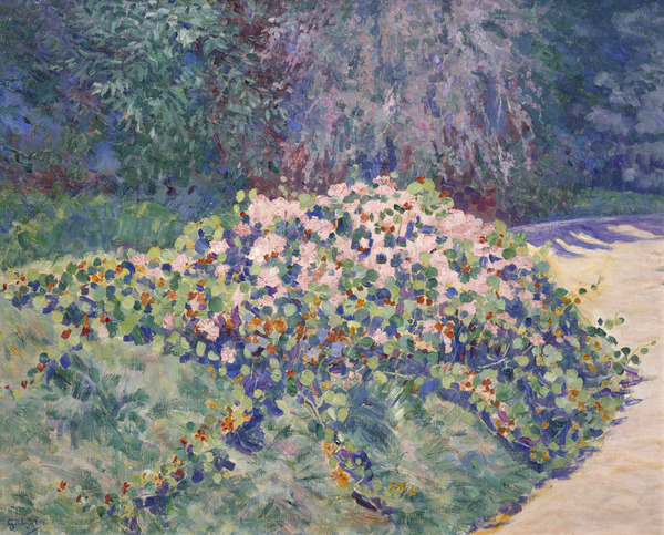Corbeille de géraniums_0