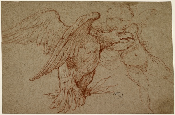 Etude pour un Amour jouant avec un aigle, Charles-Joseph Natoire, 18e siècle