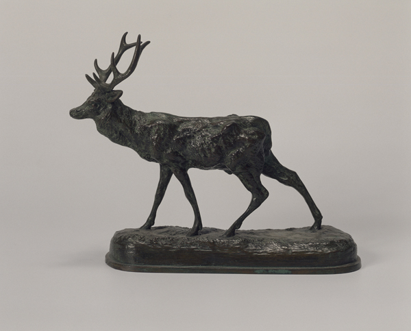 Cerf_0