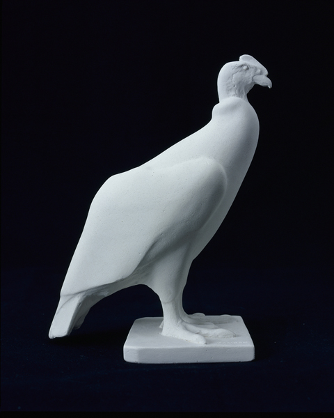 Condor, François Pompon, 20e siècle