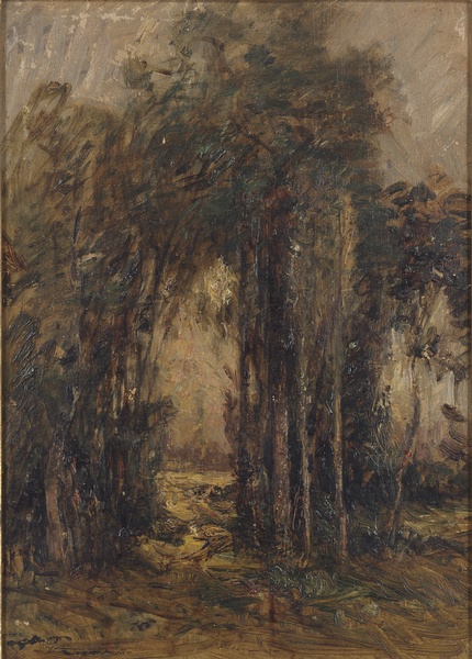 La Voûte d'arbres - Soleil couchant_0