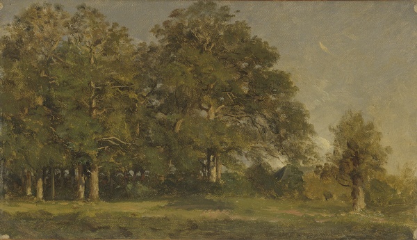 Paysage aux arbres_0