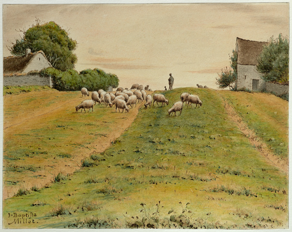 Troupeau de moutons_0