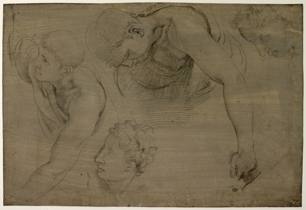 Etudes de figures ; Etude d'anatomies (Ancien titre donné par l'artiste) ; Etude de bustes et de têtes (Ancien titre), Francesco Salviati, 16e siècle