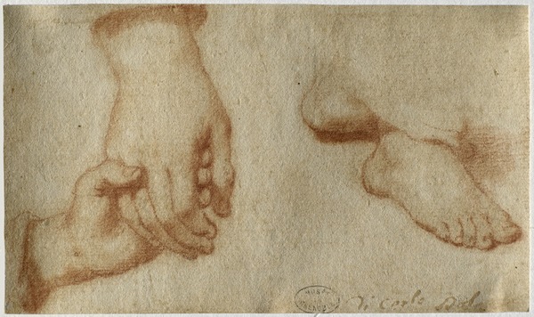 Etude de mains et de pieds, Francesco Curradi, 17e siècle