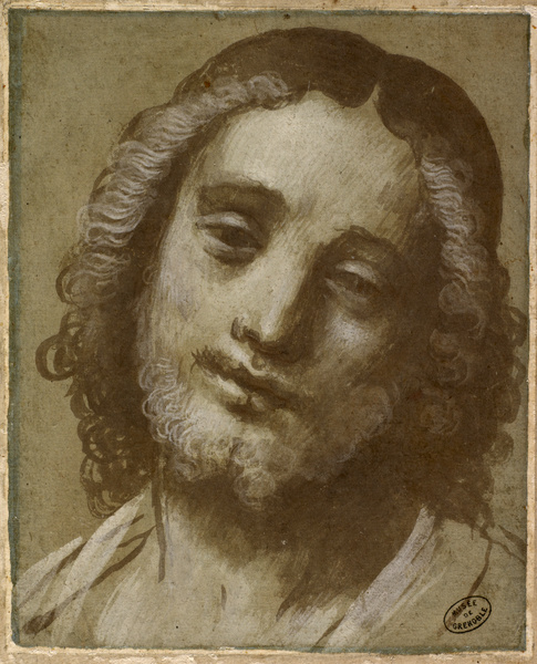 Tête de jeune homme barbu aux cheveux mi-longs ; Tête de Christ (Ancien titre), Bernardino Lanino, 16e siècle