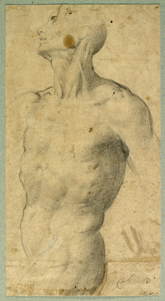Buste d'homme nu ; Anatomie d'homme (Ancien titre), Santi Di Tito, 16e siècle