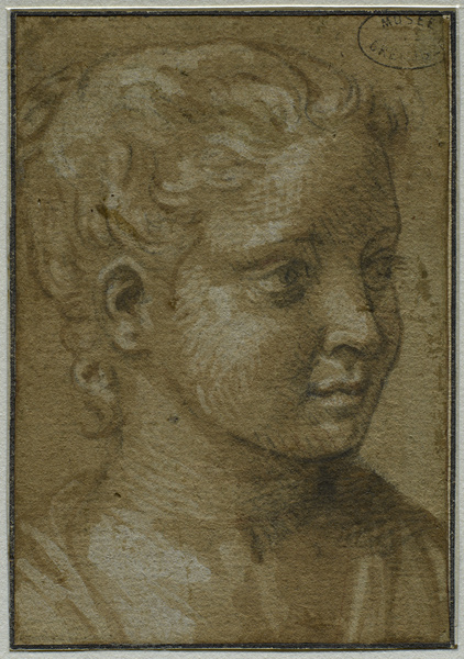 Tête de femme, Benedetto Caliari, 16e siècle
