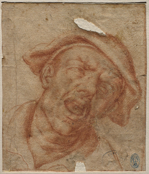 Tête d'homme, Vincenzo Campi, 17e siècle