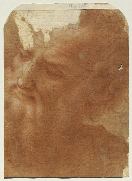 Tête d'homme barbu, 16e siècle