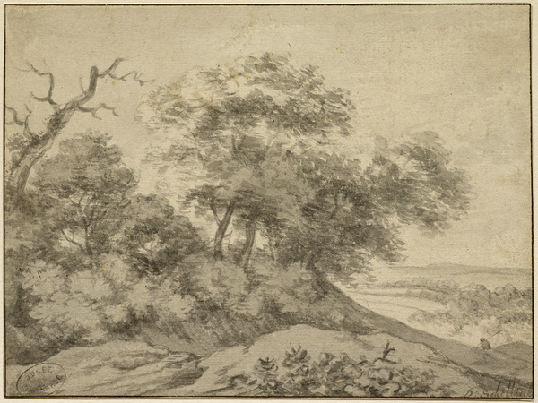 Paysage ; Massif d'arbres (Ancien titre), Daniel Schellinks, 17e siècle