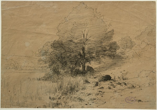 Paysage avec un grand arbre ; Marais bordé d'arbres à Cernay (Ancien titre)_0