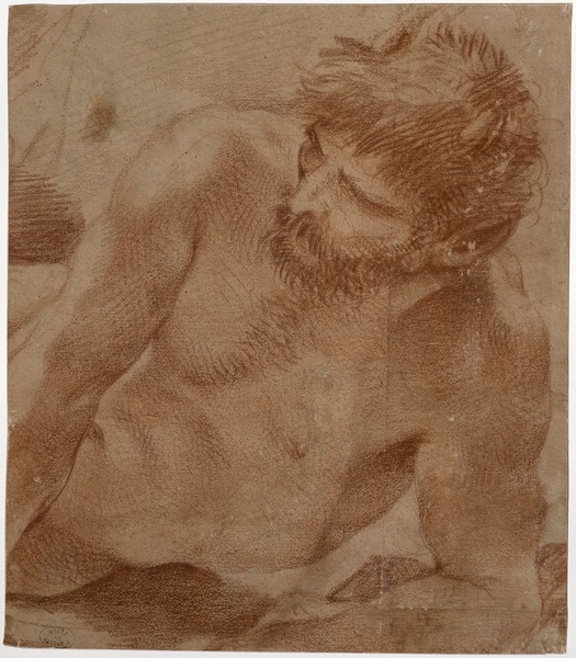 Buste de satyre allongé ; Homme à mi-corps, accoudé (Ancien titre), Andrea Di Lione, 17e siècle