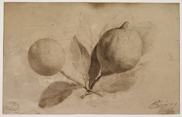 Deux citrons, Antoine Berjon, 18e siècle