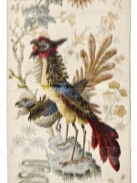 Coq de bruyère_0