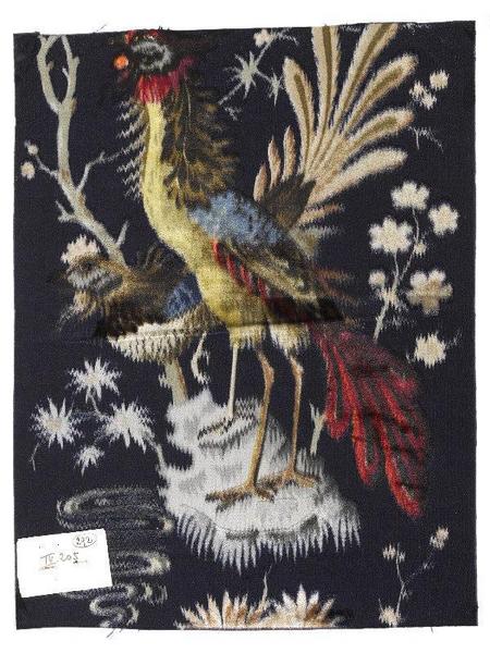 Coq de bruyère_0