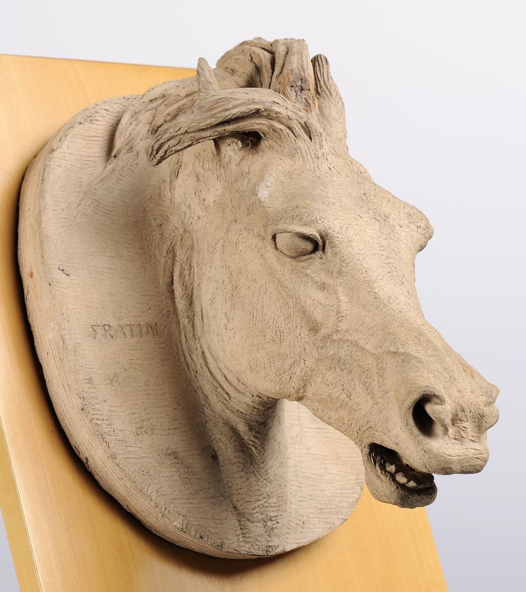 Tête de cheval, Кристоф Фратен