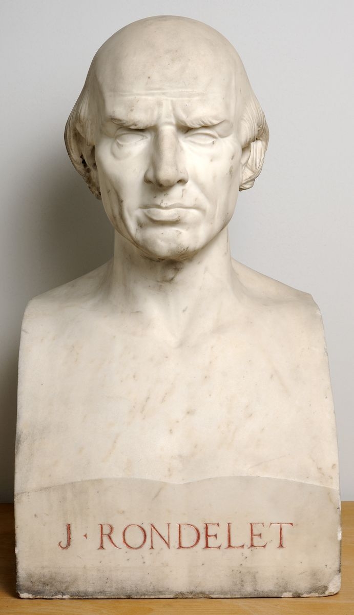 Jean Rondelet_0