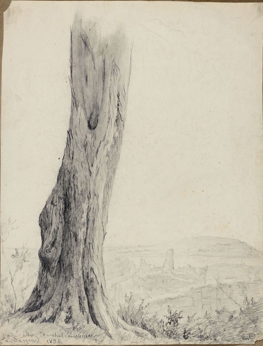 Étude d'arbre, Louis Janmot, 1832