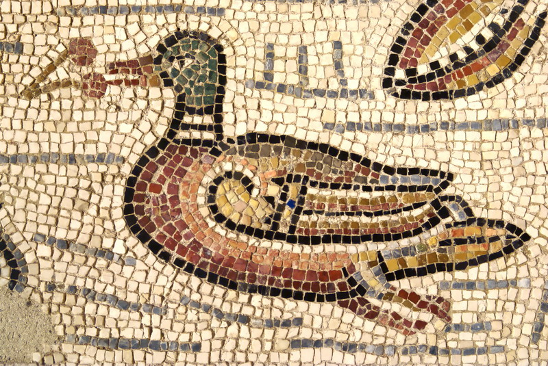 Mosaïque aux Poissons_1