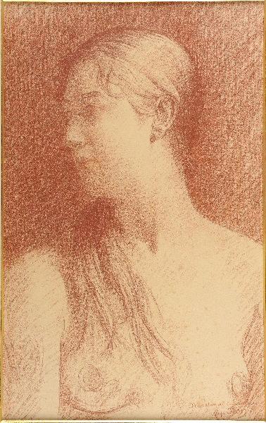 Portrait de femme, Alexandre Séon, 1888