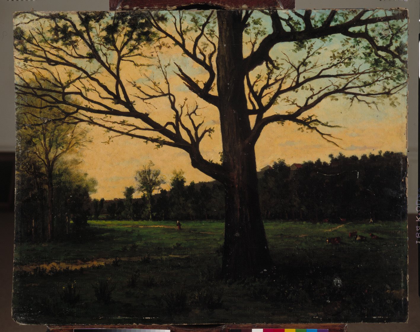 Une vue prise à Saint-Germain ; Chêne dans la forêt de Saint-Germain, Achille Louis Martinet, 1876 Date d'exécution