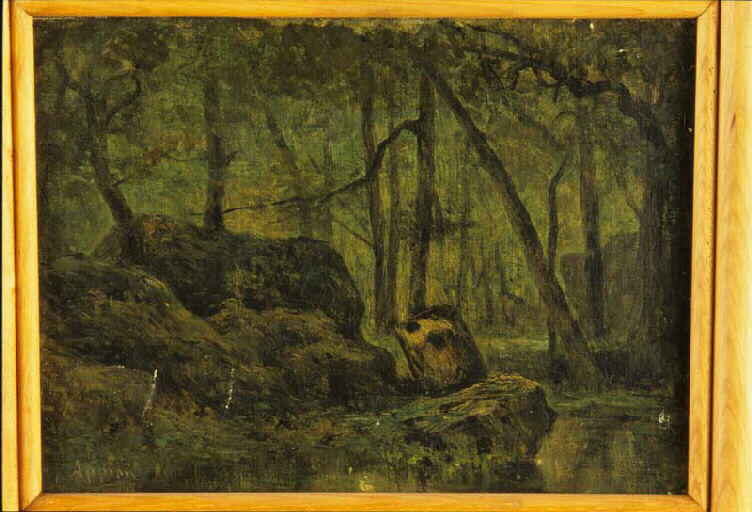 Paysage de forêt_0