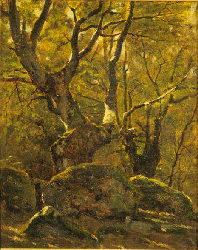 Sous-bois avec rochers_0