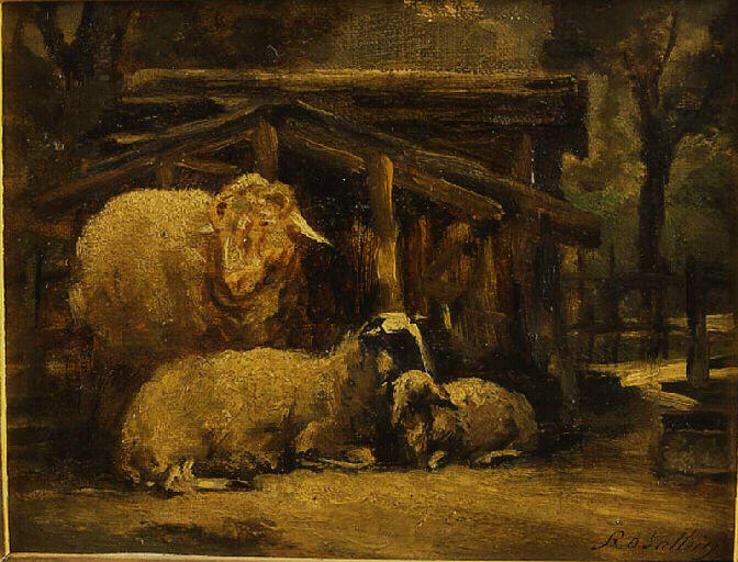 Etude de moutons au jardin des plantes_0