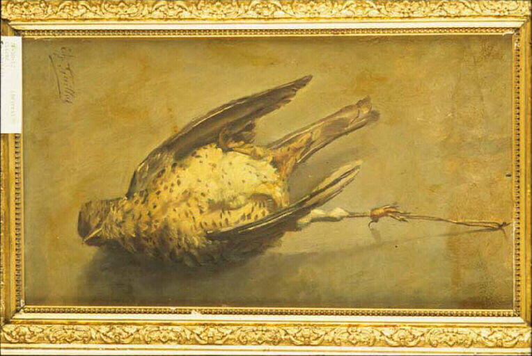 Nature morte : perdrix_0