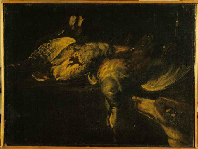 Nature morte_0