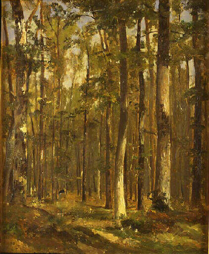 Paysage : sous-bois_0