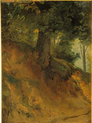 Paysage_0