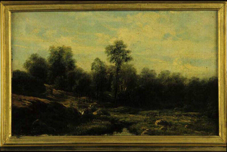 Paysage_0