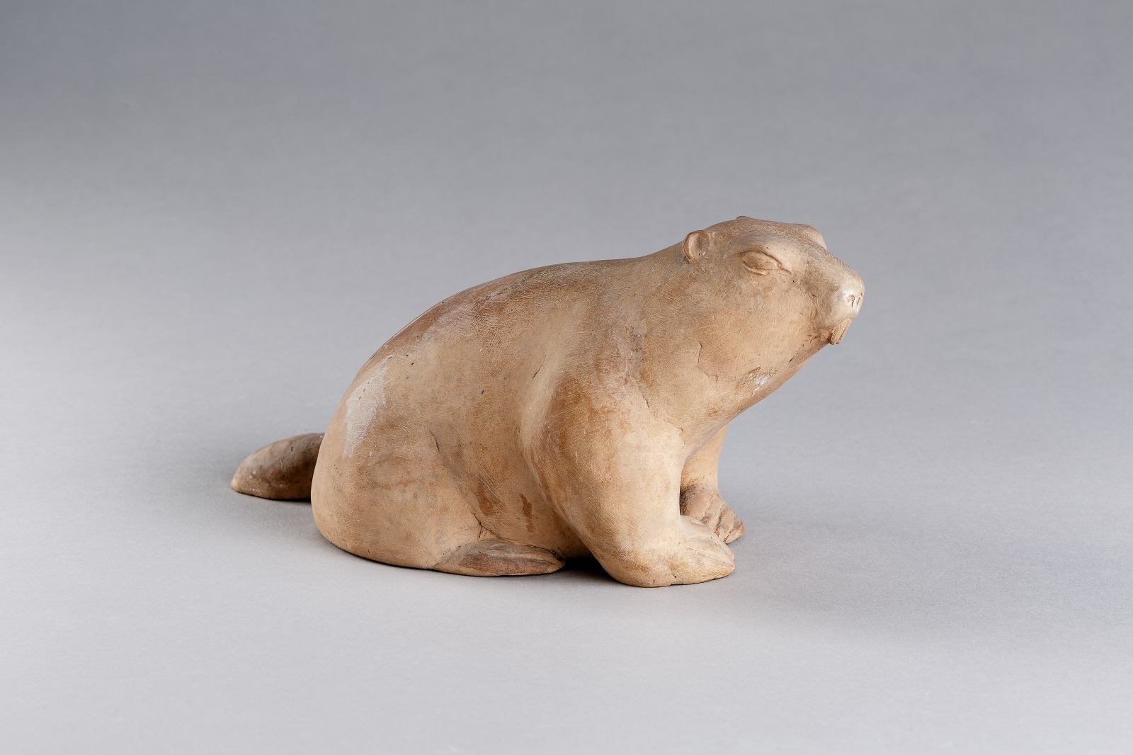 Marmotte, Marguerite Peltzer