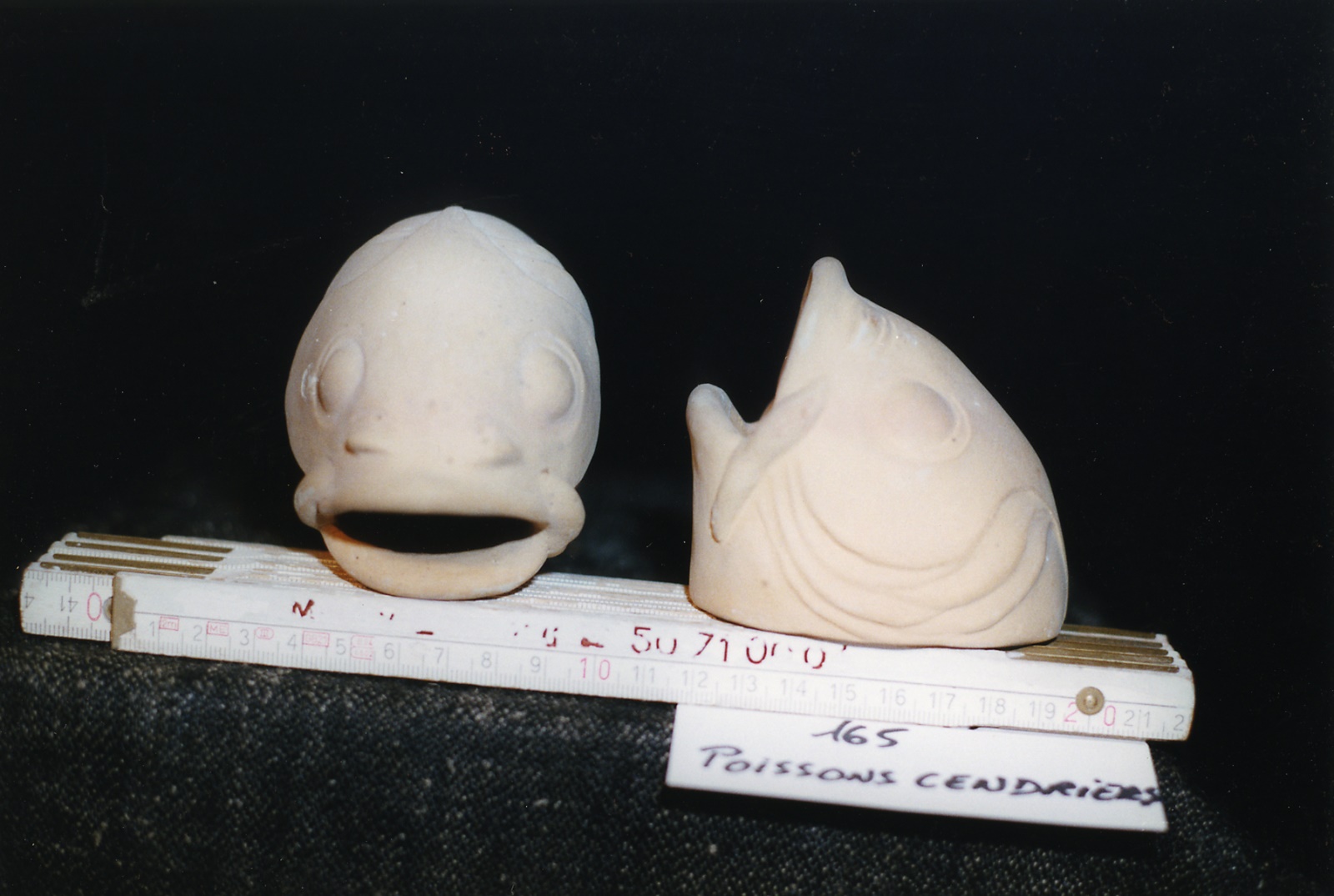 Têtes de poissons, Marguerite Peltzer