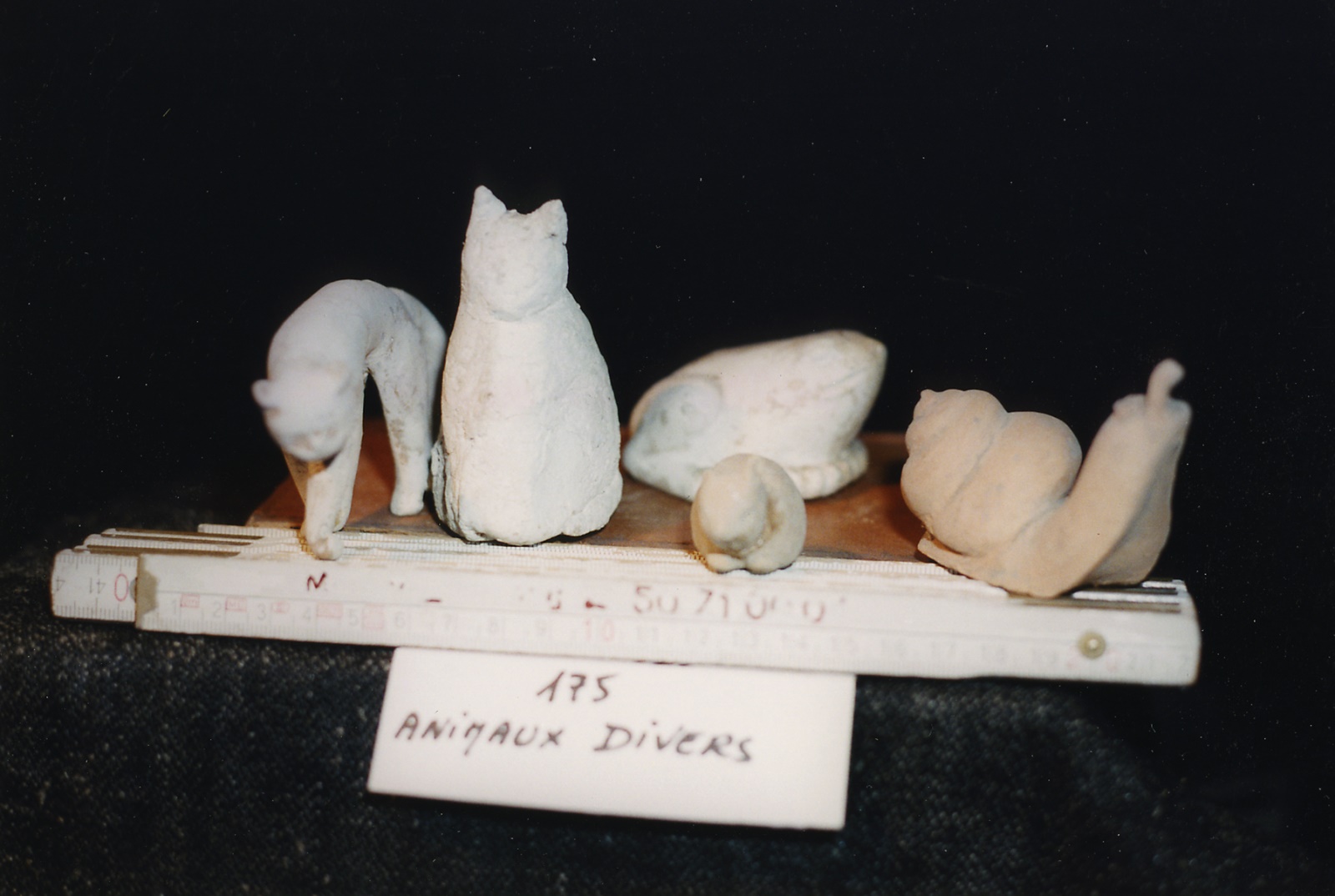 Animaux divers, Marguerite Peltzer