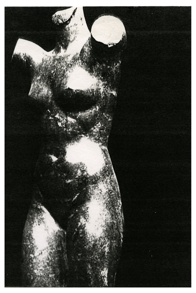 Lady Novarina, Marguerite Peltzer