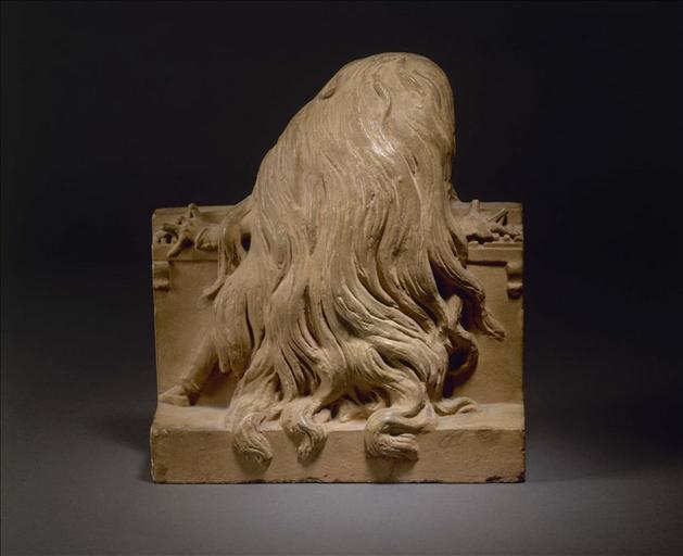 Franz Liszt (1811-1886), compositeur et pianiste austro-hongrois. Charge dite 'à la chevelure'._0