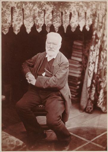 Victor Hugo dans le Look-out à Hauteville House en 1878_0